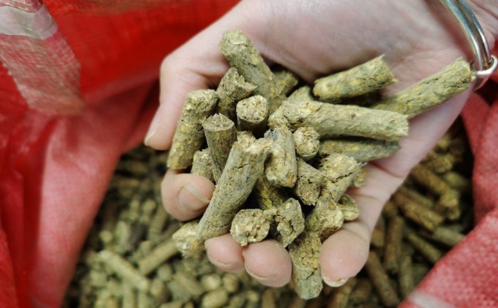 秸稈制粒機協(xié)助秸稈成為可再生資源