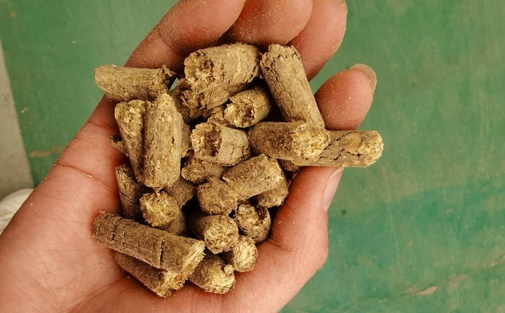 秸稈飼料顆粒機(jī)提高秸稈利用率，飼料顆粒機(jī)是以玉米、豆粕、秸稈、草、稻殼等為原料，通過(guò)粉碎原料后直接壓制成顆粒的飼料加工機(jī)械。